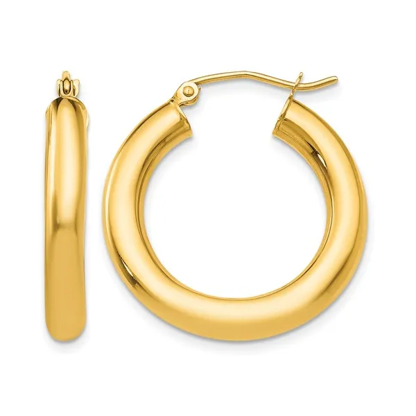 Earrings Gaines Jewelry FLINT, MI