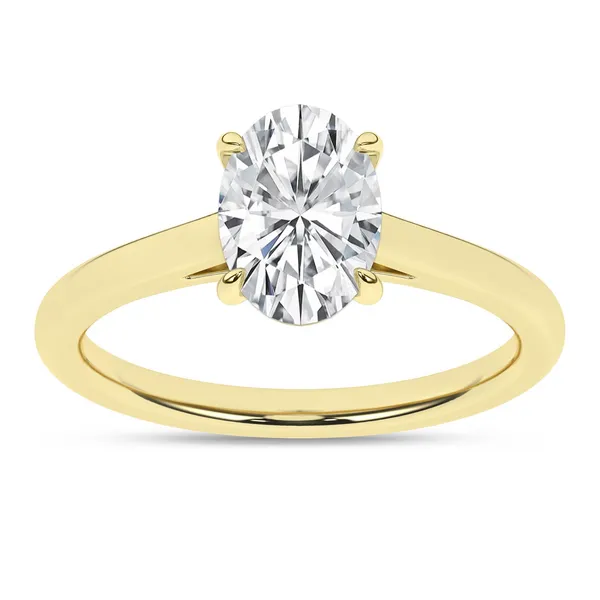 Lab Created Diamond Engagement Rings Gaines Jewelry FLINT, MI