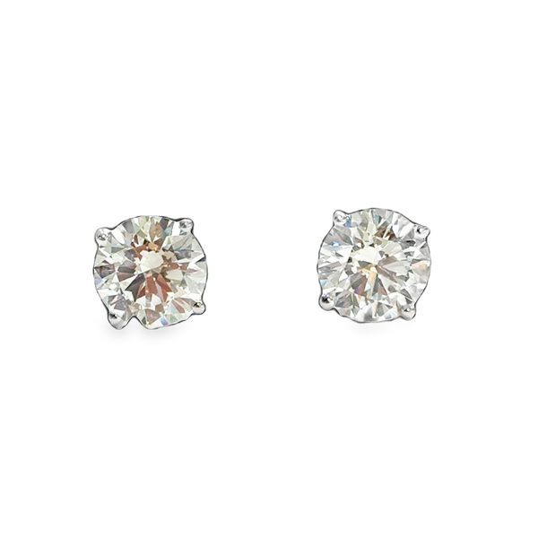 14 Karat White Round Diamond Martini Stud Earrings Galicia Fine Jewelers Scottsdale, AZ