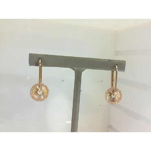 Galicia Custom 14k Yellow Gold Diamond Disc Earrings Galicia Fine Jewelers Scottsdale, AZ