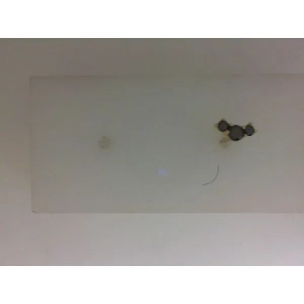 Galicia Custom 14k Yellow Gold Black Diamond Stud Galicia Fine Jewelers Scottsdale, AZ