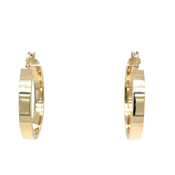 Earrings James Gattas Jewelers Memphis, TN