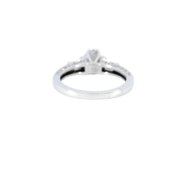14K Gold Diamond Engagement Ring Setting Image 3 Carroll's Jewelers Fort Lauderdale, FL