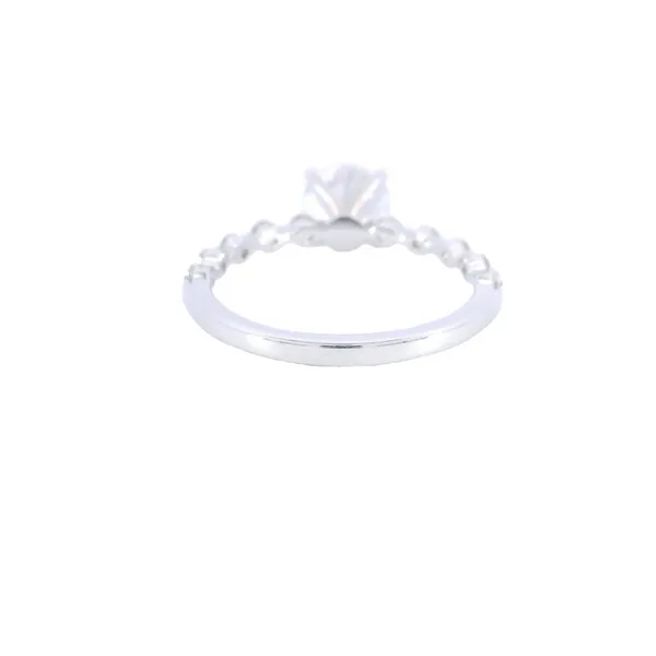 18K Gold Diamond Engagement Ring Setting Image 3 Carroll's Jewelers Fort Lauderdale, FL