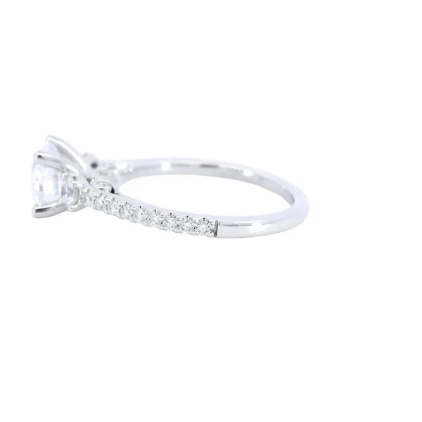 14K White Gold Three-Stone Diamond Engagement Ring Setting Image 2 Carroll's Jewelers Fort Lauderdale, FL