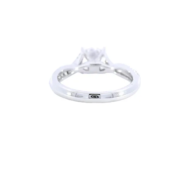 14K White Gold Split Shank Diamond Engagement Ring Setting Image 3 Carroll's Jewelers Fort Lauderdale, FL