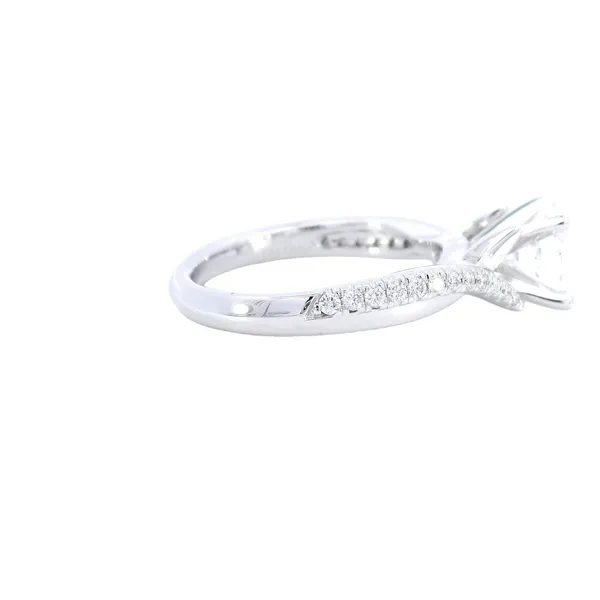 14K White Gold Split Shank Diamond Engagement Ring Setting Image 4 Carroll's Jewelers Fort Lauderdale, FL