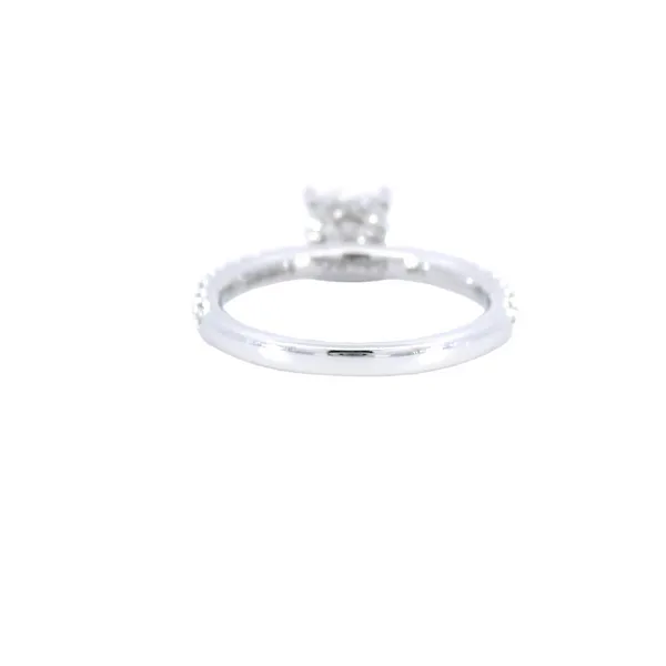 14K White Gold Hidden Halo Diamond Engagement Ring Setting Image 3 Carroll's Jewelers Fort Lauderdale, FL
