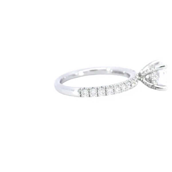 14K White Gold Hidden Halo Diamond Engagement Ring Setting Image 4 Carroll's Jewelers Fort Lauderdale, FL