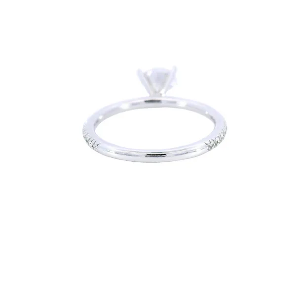14K White Gold Pave Diamond Engagement Ring Setting Image 3 Carroll's Jewelers Fort Lauderdale, FL
