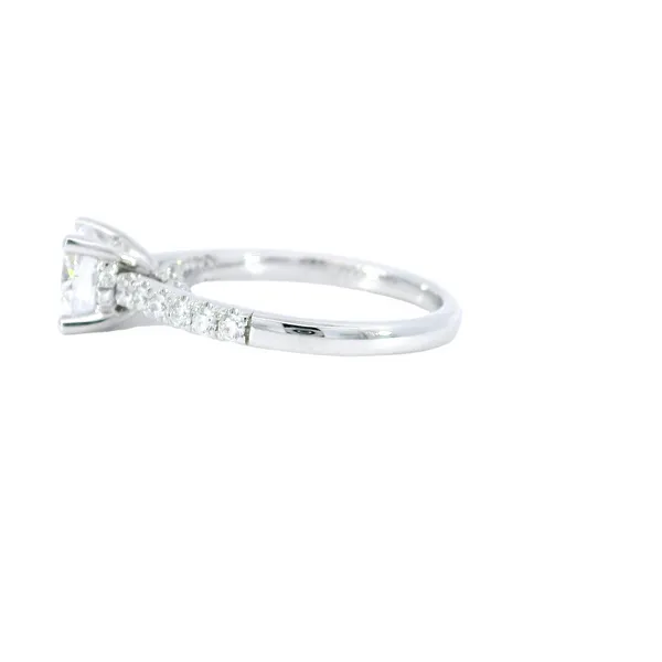 14K White Gold Diamond Engagement Ring Setting Image 2 Carroll's Jewelers Fort Lauderdale, FL