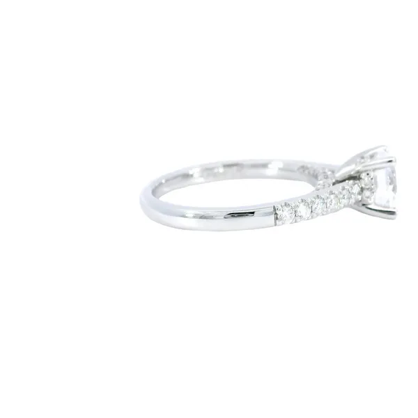 14K White Gold Diamond Engagement Ring Setting Image 4 Carroll's Jewelers Fort Lauderdale, FL