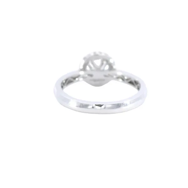 14K White Gold Halo Diamond Engagement Ring Setting Image 3 Carroll's Jewelers Fort Lauderdale, FL