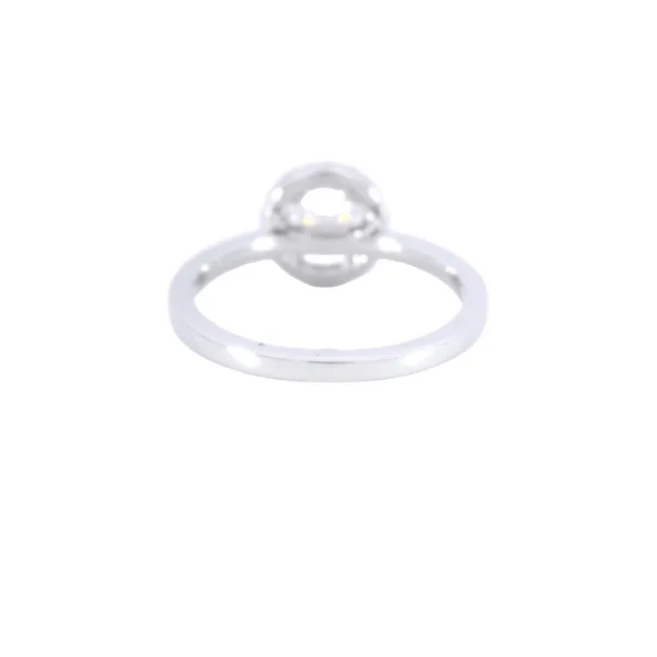 14K White Gold Halo Diamond Engagement Ring Setting Image 3 Carroll's Jewelers Fort Lauderdale, FL