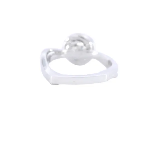 Passion 14K White Gold Halo Diamond Engagement Ring Setting Image 3 Carroll's Jewelers Fort Lauderdale, FL