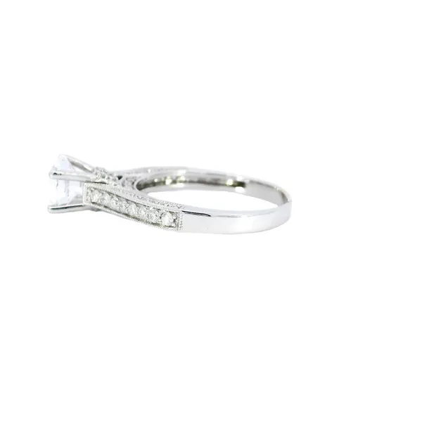 14K White Gold Diamond Engagement Ring Setting Image 2 Carroll's Jewelers Fort Lauderdale, FL