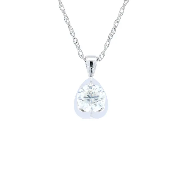 14K White Gold Diamond Pendant Carroll's Jewelers Fort Lauderdale, FL