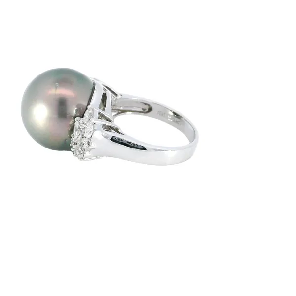 18K White Gold Cultured South Sea Pearl Ring Image 2 Carroll's Jewelers Fort Lauderdale, FL