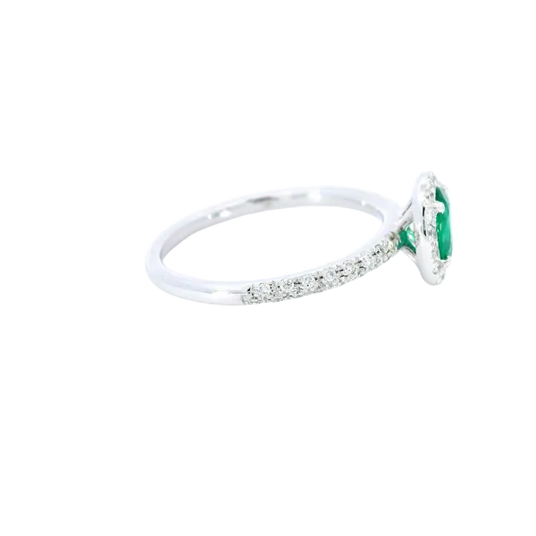 18K White Gold Emerald and Diamond Halo Ring Image 4 Carroll's Jewelers Fort Lauderdale, FL