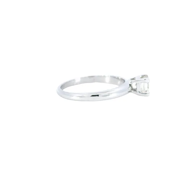 Elegant Platinum Diamond Ring Image 4 Carroll's Jewelers Fort Lauderdale, FL