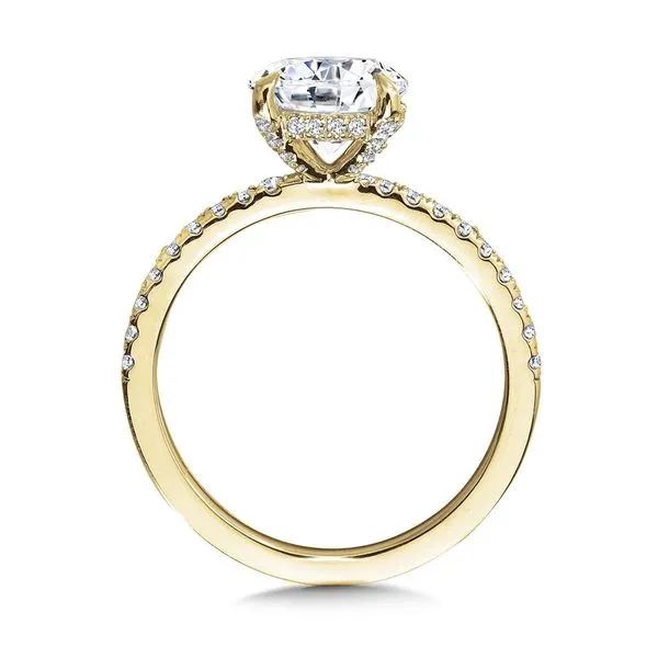 Lab Grown Diamond Engagement Ring Image 2 Georgetown Jewelers Wood Dale, IL