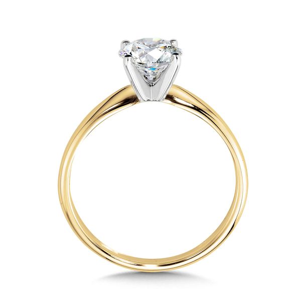 14K Two Tone Gold Lab Grown Diamond Engagement Ring Image 2 Georgetown Jewelers Wood Dale, IL