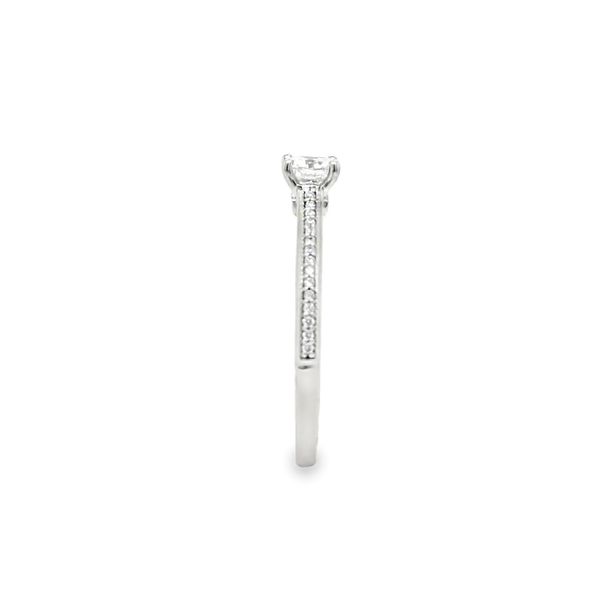 Diamond Semi-Mount Ring Image 3 Georgetown Jewelers Wood Dale, IL
