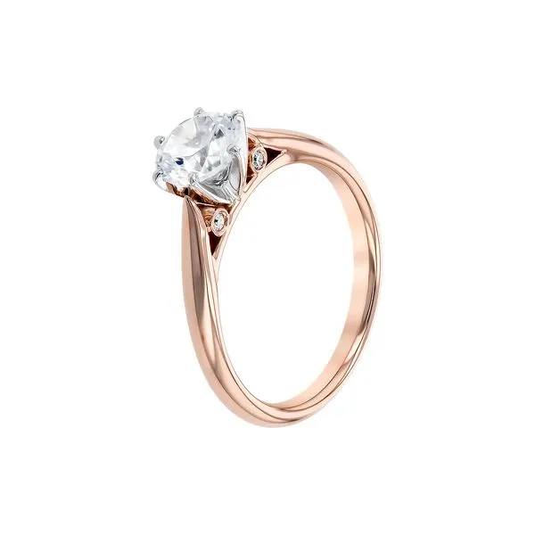 14K Rose Gold Diamond Semi-Mount Ring Image 4 Georgetown Jewelers Wood Dale, IL