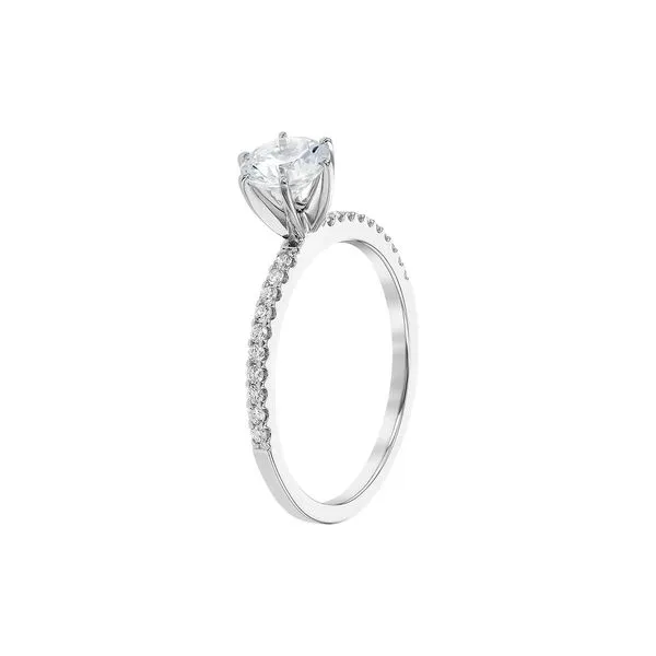 Diamond Semi-Mount Ring Image 4 Georgetown Jewelers Wood Dale, IL