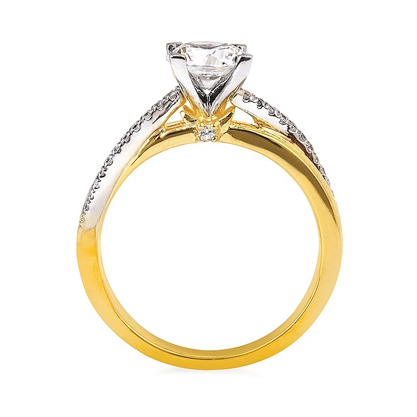 14K Two Tone Gold Diamond Semi-Mount Engagement Ring Image 2 Georgetown Jewelers Wood Dale, IL
