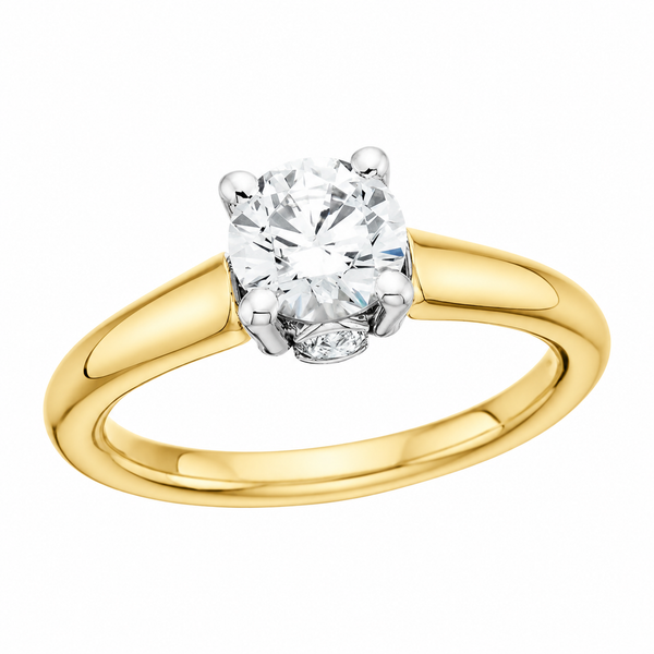Customizable Engagement Ring Georgetown Jewelers Wood Dale, IL