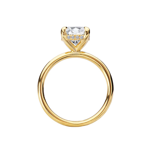 Customizable Engagement Ring Image 2 Georgetown Jewelers Wood Dale, IL