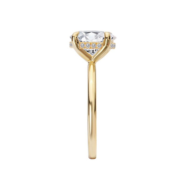Customizable Engagement Ring Image 3 Georgetown Jewelers Wood Dale, IL