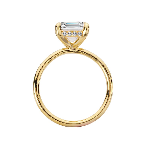 Customizable Engagement Ring Image 2 Georgetown Jewelers Wood Dale, IL