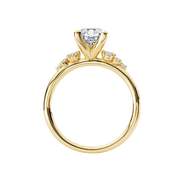 Customizable Engagement Ring Image 2 Georgetown Jewelers Wood Dale, IL