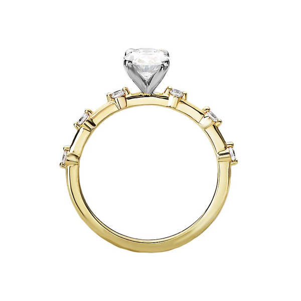 Customizable Engagement Ring Image 2 Georgetown Jewelers Wood Dale, IL