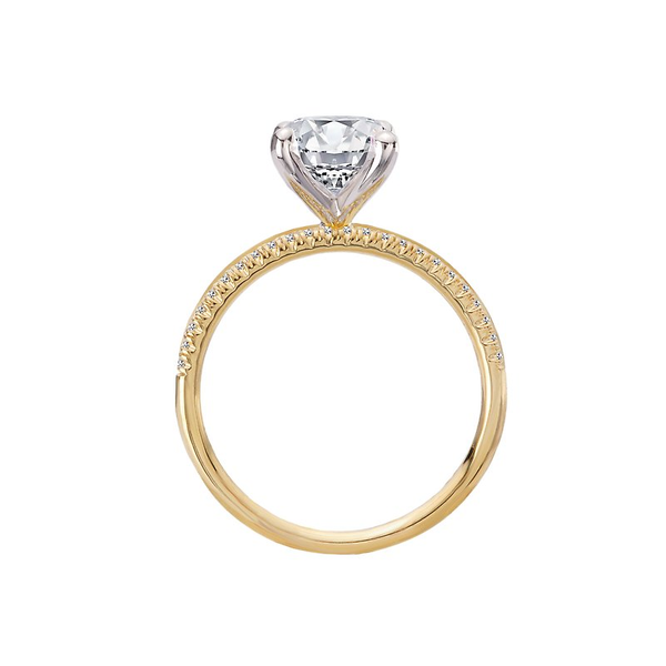 Customizable Engagement Ring Image 2 Georgetown Jewelers Wood Dale, IL