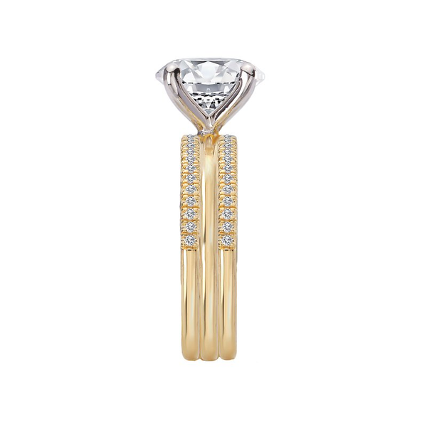 Customizable Engagement Ring Image 3 Georgetown Jewelers Wood Dale, IL