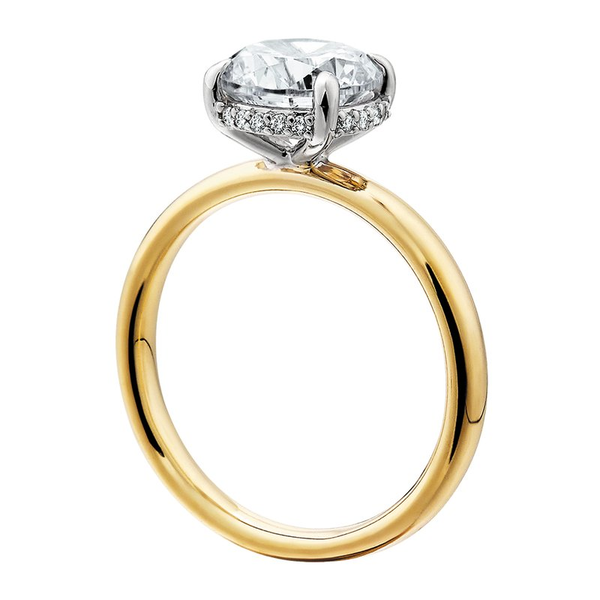 Hidden Halo Semi-Mount Solitaire Customizable Engagement Ring Image 2 Georgetown Jewelers Wood Dale, IL