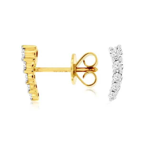 Diamond Earrings Georgetown Jewelers Wood Dale, IL
