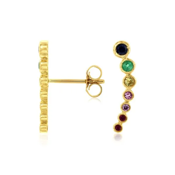 Colored Gemstone Earrings Georgetown Jewelers Wood Dale, IL