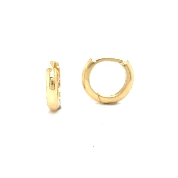 Gold Earrings Georgetown Jewelers Wood Dale, IL