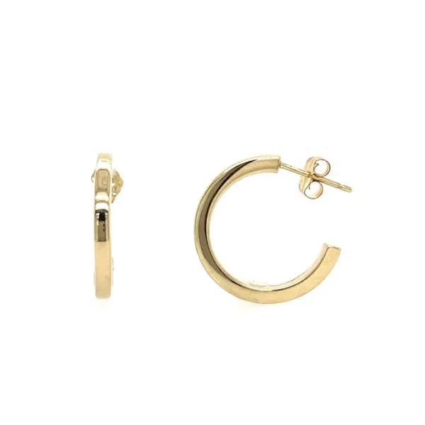 Gold Earrings Georgetown Jewelers Wood Dale, IL