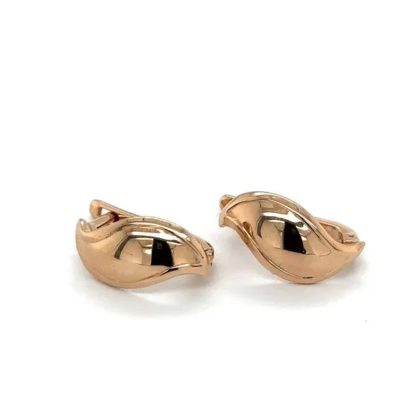 Gold Earrings Georgetown Jewelers Wood Dale, IL