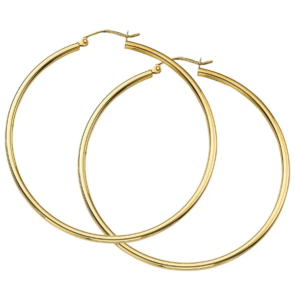 Gold Earrings Georgetown Jewelers Wood Dale, IL