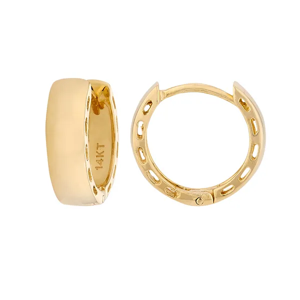 Gold Earrings Georgetown Jewelers Wood Dale, IL