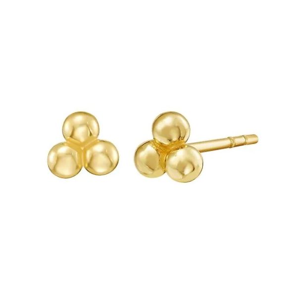 Gold Earrings Georgetown Jewelers Wood Dale, IL