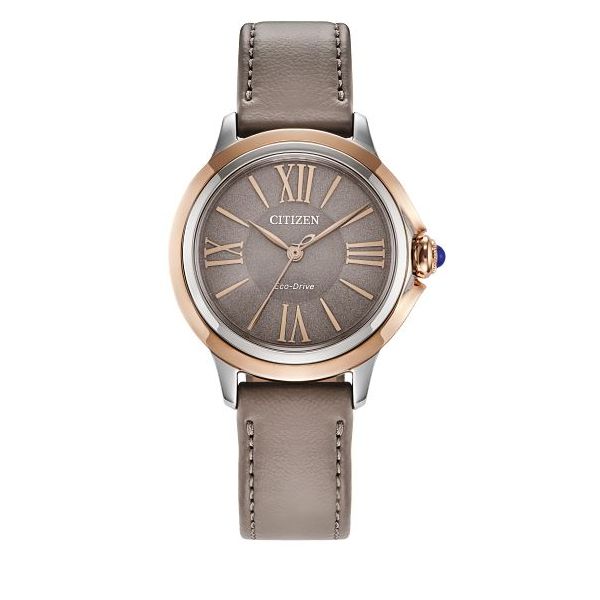 Women's Citizen Eco-Drive Watch Georgetown Jewelers Wood Dale, IL