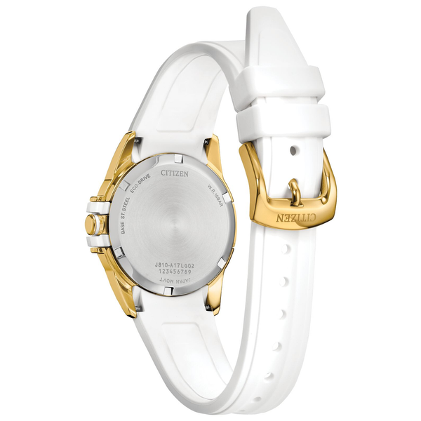 Women's Citizen Eco-Drive Watch Image 2 Georgetown Jewelers Wood Dale, IL