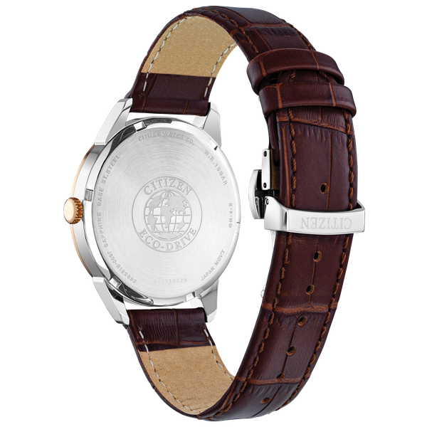 Men's Citizen Eco-Drive Watch Image 2 Georgetown Jewelers Wood Dale, IL